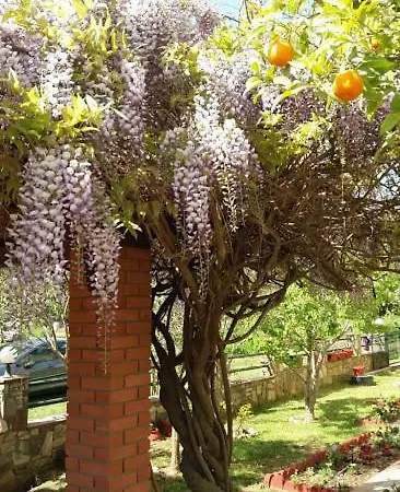 Ourania's 2 Apartament